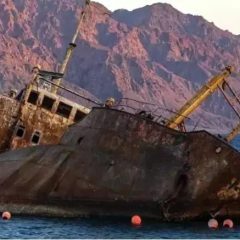 沙特阿拉伯 4 年的舊海難變成了旅遊景點